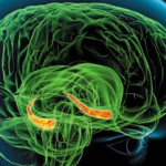 MAKING UP OUR MINDS: PTSD and the Role of Memory –the dichotomy of how games help and may be very dangerous ~ We need to talk about this.